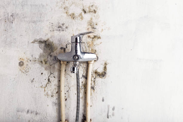 Mold Testing and Removal in Coral Terrace, FL