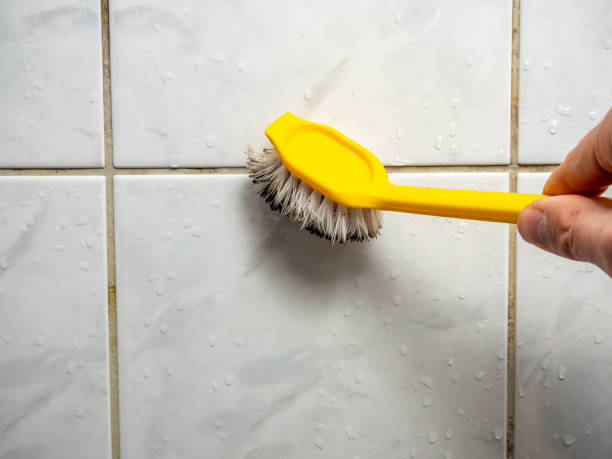  Coral Terrace, FL Mold Removal Pros