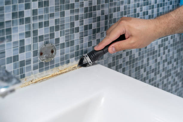 Best Affordable Mold Removal  in Coral Terrace, FL
