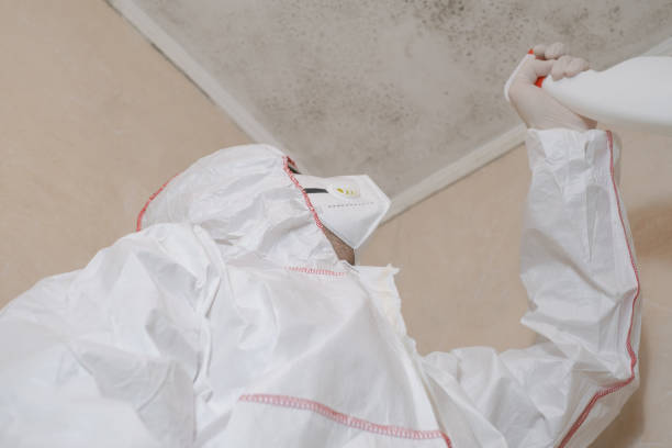 Best Commercial Mold Removal  in Coral Terrace, FL